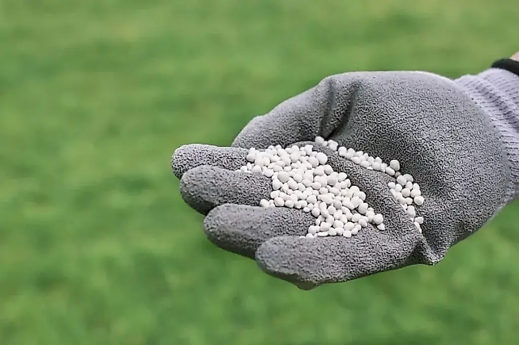 Fósforo contra el invierno: cómo abonar las plantas antes de las heladas