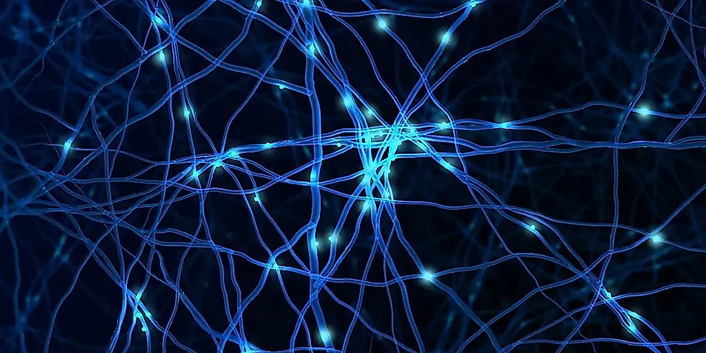Los científicos descubren cómo el cerebro se protege de la proteína tau tóxica