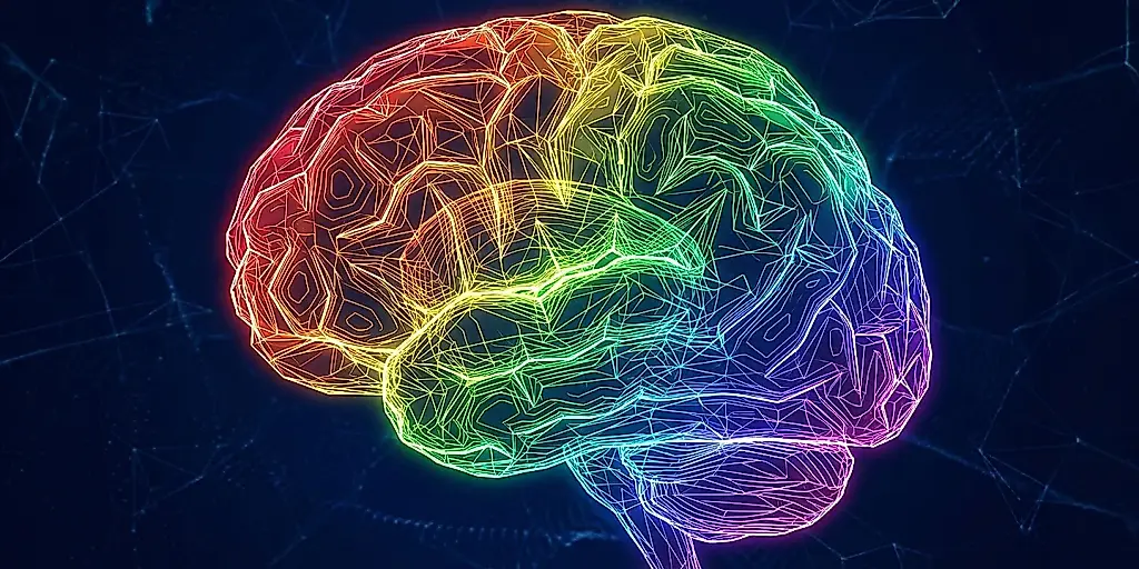 Las cuatro edades del cerebro: se reorganiza de nuevo