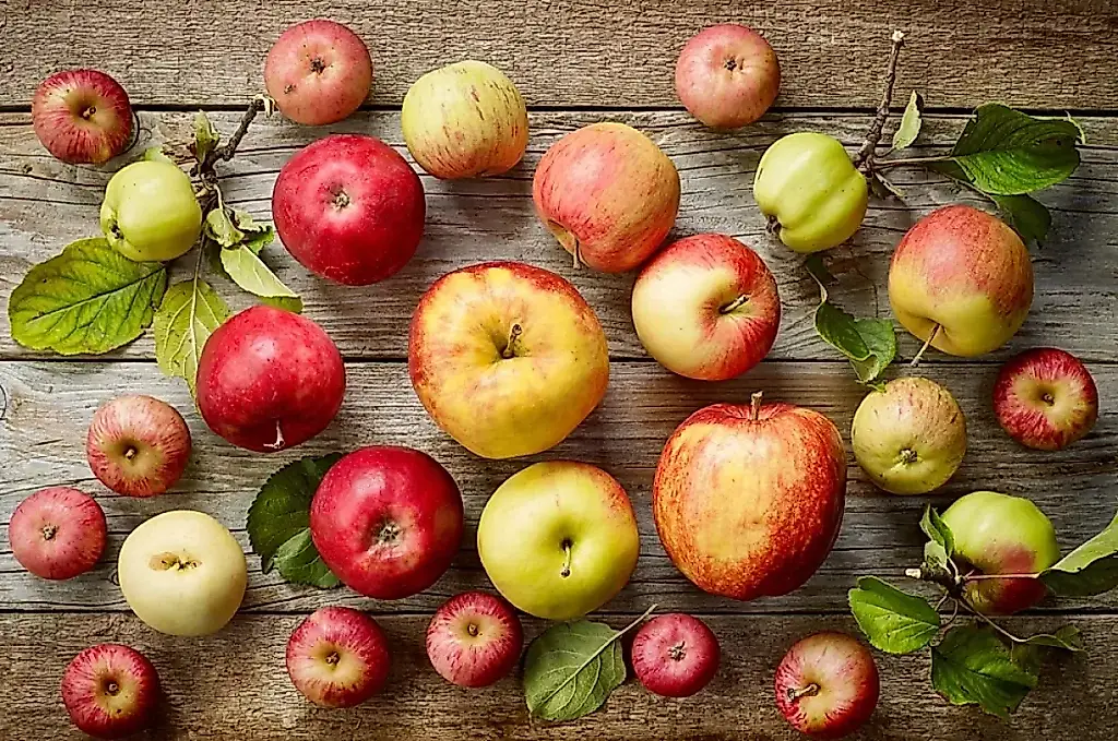 Cómo catan manzanas los profesionales: ciencia frente al simple «está rica o no»