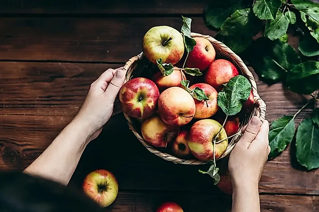 Un sótano sin manzanas podridas