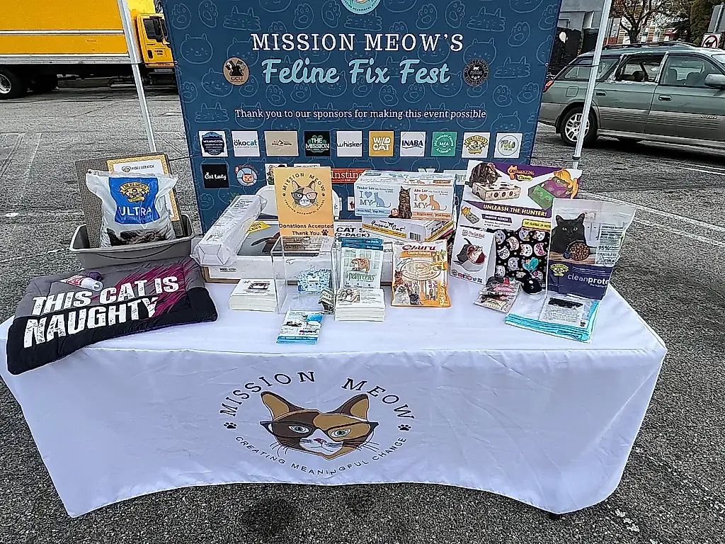 Feline Fix Fest 2026: праздник, где коты чинят человечество