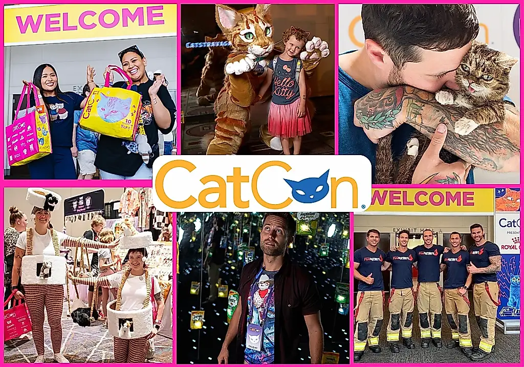 CatCon 2026: съезд людей, которые служат кошкам