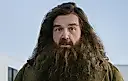 Ник Фрост