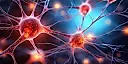 Nature Neuroscience