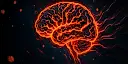 Brain and Behavior