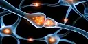 Molecular Psychiatry