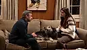 Steve Carell
