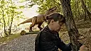 Раду Жуде