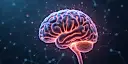 Brain Imaging and Behavior