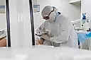 Холли Берри