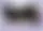 Хулиганство по науке: отчёт чёрного кота о тайных экспериментах дома