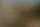 OpenAI запустила генерацию изображений в ChatGPT