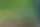 Jardín en primavera: qué salvar primero