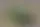 Суд Маска и Альтмана: грязное белье OpenAI