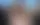 Лиса и обезьяна Punch: встреча века