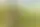 Cómo salvar el jardín en un minuto: diez años de trabajo en juego