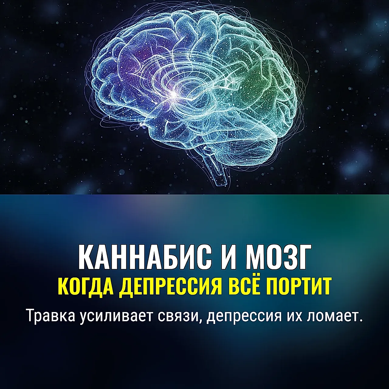 Каннабис, депрессия и мозг