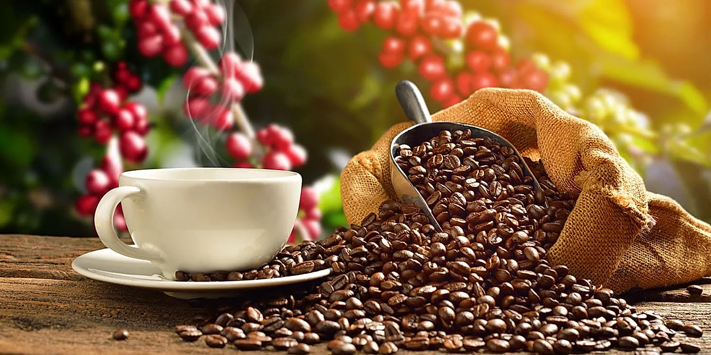 Эспрессо вместо урана: наука на кухне