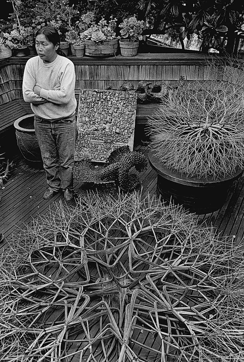 Галерея Рут Асава в Сан‑Франциско